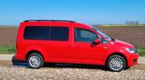 Volkswagen Caddy Maxi 2.0 TDI - rote Volkswagen Caddy Maxi