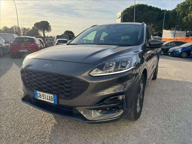 Ford FORD Kuga 1.5 ecoblue ST-Line 2wd 120cv del 2020