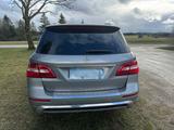 Mercedes-Benz ML 350 BlueTEC 4MATIC - - Mercedes-Benz ML 350 von privat