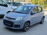 Fiat Panda Easy - Fiat Panda in Ludwigshafen