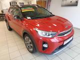 Kia Stonic Platinum Edition / Kamera / SH /Leder - Kia Stonic Gebrauchtwagen