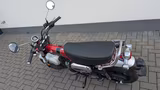 Honda ST125 DAX - Pearl Nebula Red - wenig Km - HONDA DAX 125