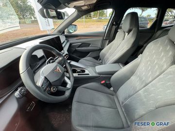 Cupra Terramar - 4