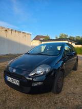 Fiat Punto 1.2 8V - TÜV NEU  - Fiat Punto in Bochum