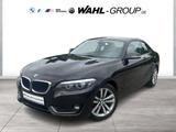 BMW 218i COUPÉ ADVANTAGE AUT NAVI BUSINESS GRA PDC S - BMW 218: Coupe