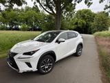 Lexus NX 300 300h E-FOUR - Launch Edition - Lexus NX 300 Gebrauchtwagen