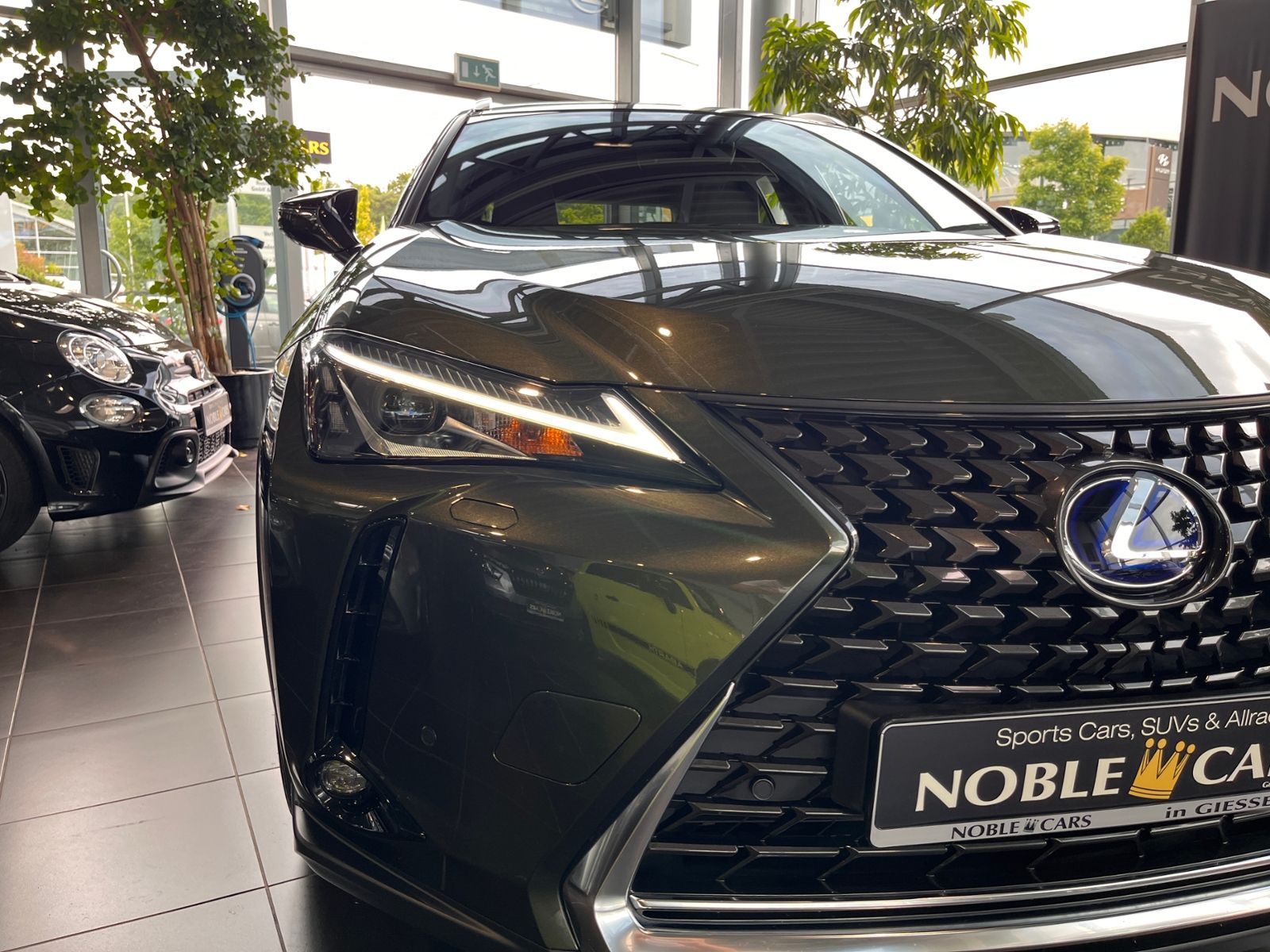 Fahrzeugabbildung Lexus UX 250 h Style Edition RFK Full Link LED AHK
