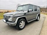 Mercedes-Benz G 350  - Mercedes-Benz G 350 in Frankfurt (Main)