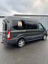 Ford Transit 9 Sitzer / AHK - Ford Transit von privat