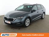 Skoda Octavia 1.0 TSI Ambition*NAVI*ACC*CAM*PDC*SHZ*BT - Skoda Octavia Gebrauchtwagen in Frankfurt