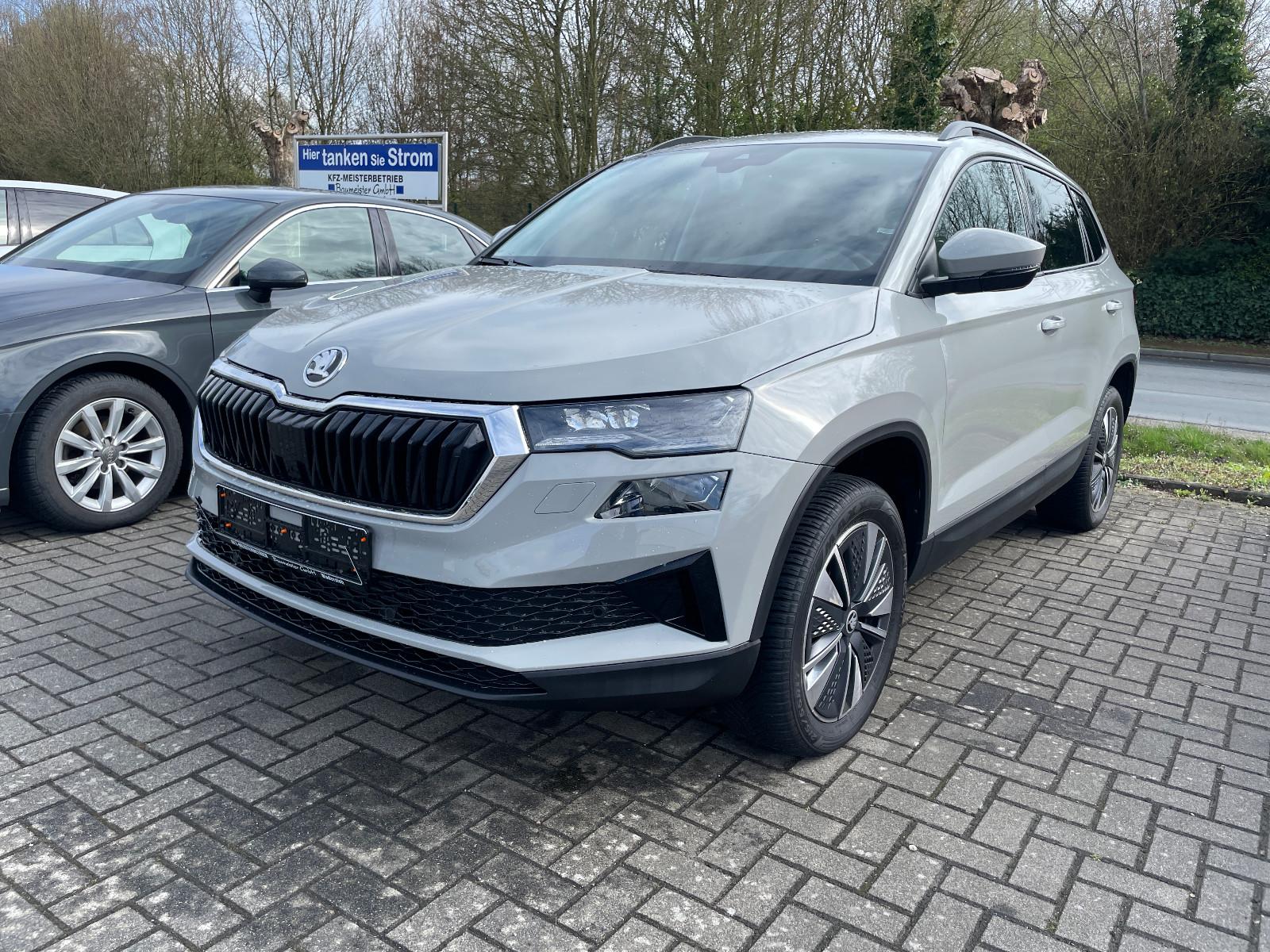 Skoda Karoq TDI, AHK, Kamera, Standheizung