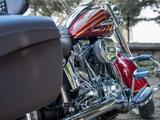 Harley-Davidson Softail Deluxe CVO (FLSTNSE) - HARLEY-DAVIDSON FLSTN SOFTAIL DELUXE
