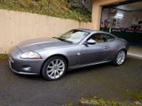 Jaguar XK 4.2L V8 Coupé - - Jaguar XK: Coupé, 4.2