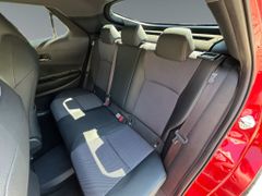 TOYOTA C-HR 2.0 Plug-in-Hybrid Lounge