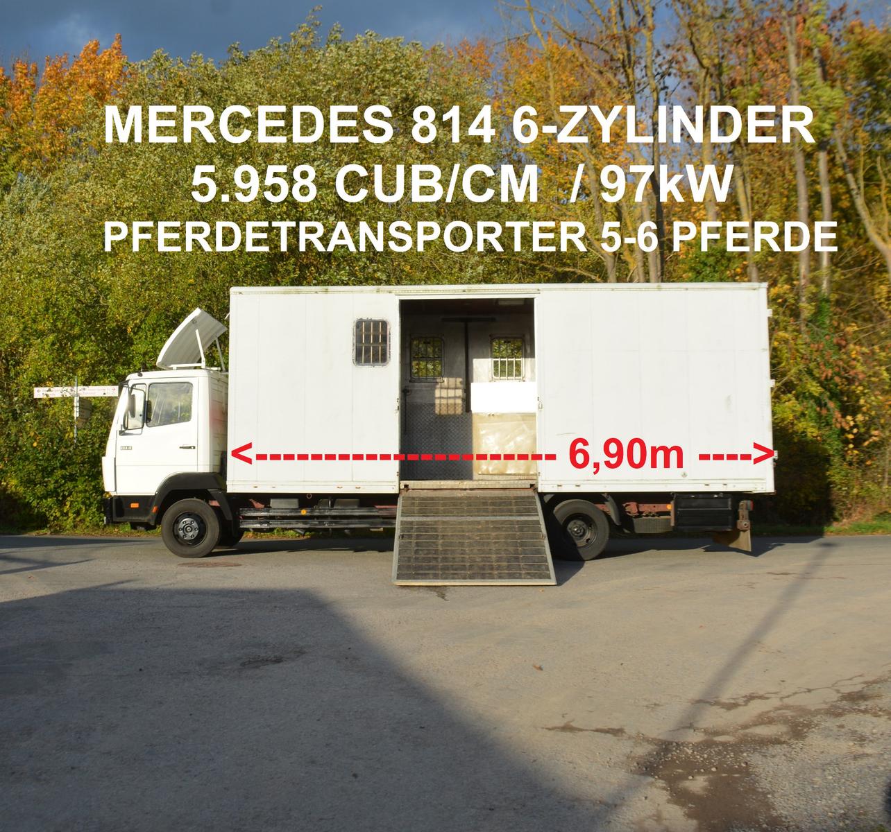 Mercedes-Benz 814D 6-ZYLINDER   PFERDETRANSPORTER 5-6 PFERDE