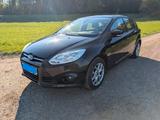 Ford Focus 1,6 Ti-VCT 77kW Trend Trend Schwarz Met. - Ford Focus aus 2011: 1.6