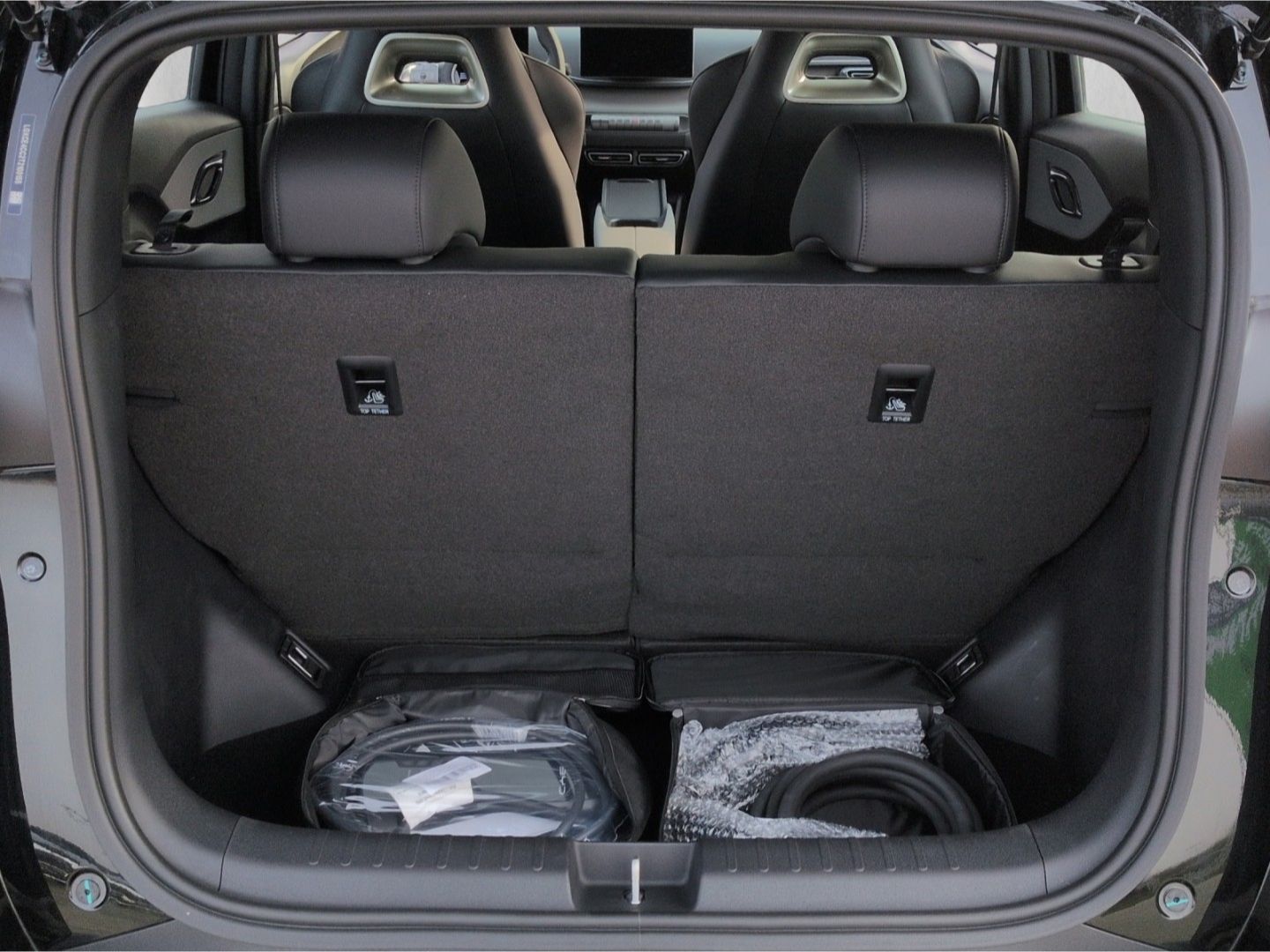 BYD DOLPHIN SURF