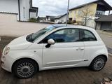 Fiat 500 1.4i TÜV Weiß Alufelgen - Fiat 500: Weis