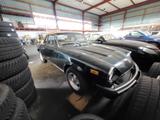 Fiat 124 Sport Spider - Fiat aus 1981