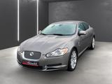 Jaguar XF 2.7 V6 Diesel Luxury - Jaguar XF: 2.7