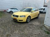 Audi A3 8P 2.0 TDI * - Audi A3 aus 2004: TDI
