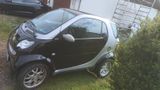 Smart Klima Brabus Pamoramadach TÜV und Anlasser neu - Smart aus 2008: Brabus