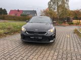 Kia Ceed 1.5T DCT Vision Navi Komfort 16"/S.heiz/PDC - Kia cee'd / Ceed aus 2021
