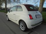 Fiat 500 Cabrio Sondermodell"Lounge" orig.74000 KM ! - Fiat 500 mit Benzin-Antrieb: Cabrio