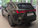 Lexus NX 350h Business Leder SHZ Kamera Navi LED ACC - Lexus NX 350h mit Hybrid-Antrieb