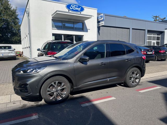 Ford Kuga ST-Line-Kamera-Sitzheiz. vo./hi.-WENIG KM!