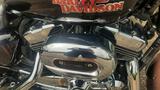 Harley-Davidson Superlow 1200T - Harley-Davidson Motorräder in Mannheim