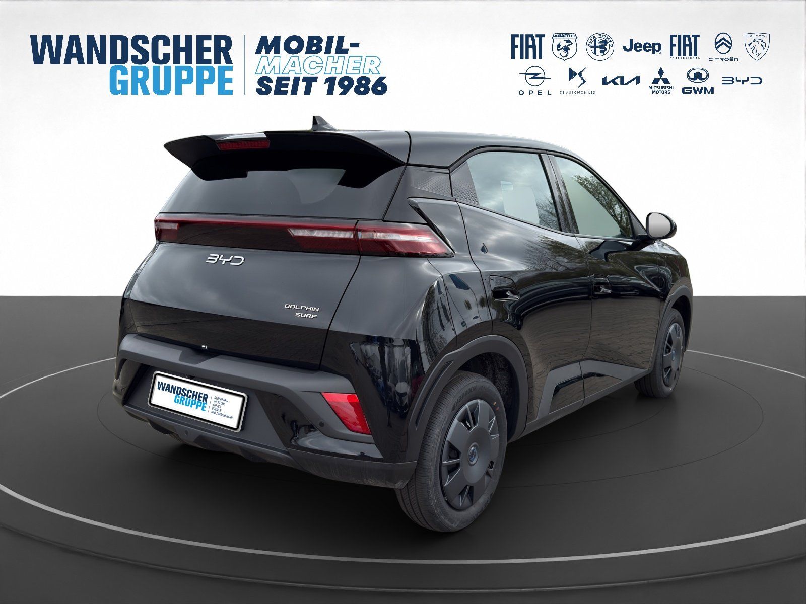 BYD DOLPHIN SURF