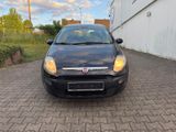 Fiat Punto 1.4 8V /Klima/ALU/TÜV NEU - Fiat Punto in Düsseldorf