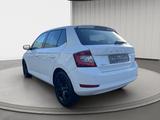 Skoda Fabia 1.0 TSI Best of NAVI SHZ LED-S. 5JG. - Skoda Fabia: 5j