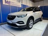 Opel Grandland (X) Innovation*Navi*Pano*AHK* - scheckheftgepflegte Opel Gebrauchtwagen