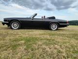 Jaguar XJSC DEUTSCHES Fahrzeug!!! - Jaguar XJSC: Cabrio