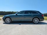 Audi A4 1.4 TFSI design Avant design - Audi A4: Grün, Navigationssystem