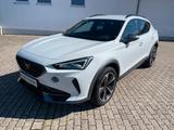 Cupra Formentor 2.0 TDI DSG 4Drive ACC KAMERA NAVI SHZ - Cupra mit Diesel-Antrieb