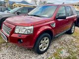 Land Rover Freelander 2.2 TD4 S.W. SE - Land Rover Freelander: Se