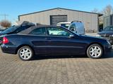 Mercedes-Benz CLK 280|CABRIO|HARMAN KARDON|AVANTGARDE|LEDER - Mercedes-Benz aus 2006: Clk