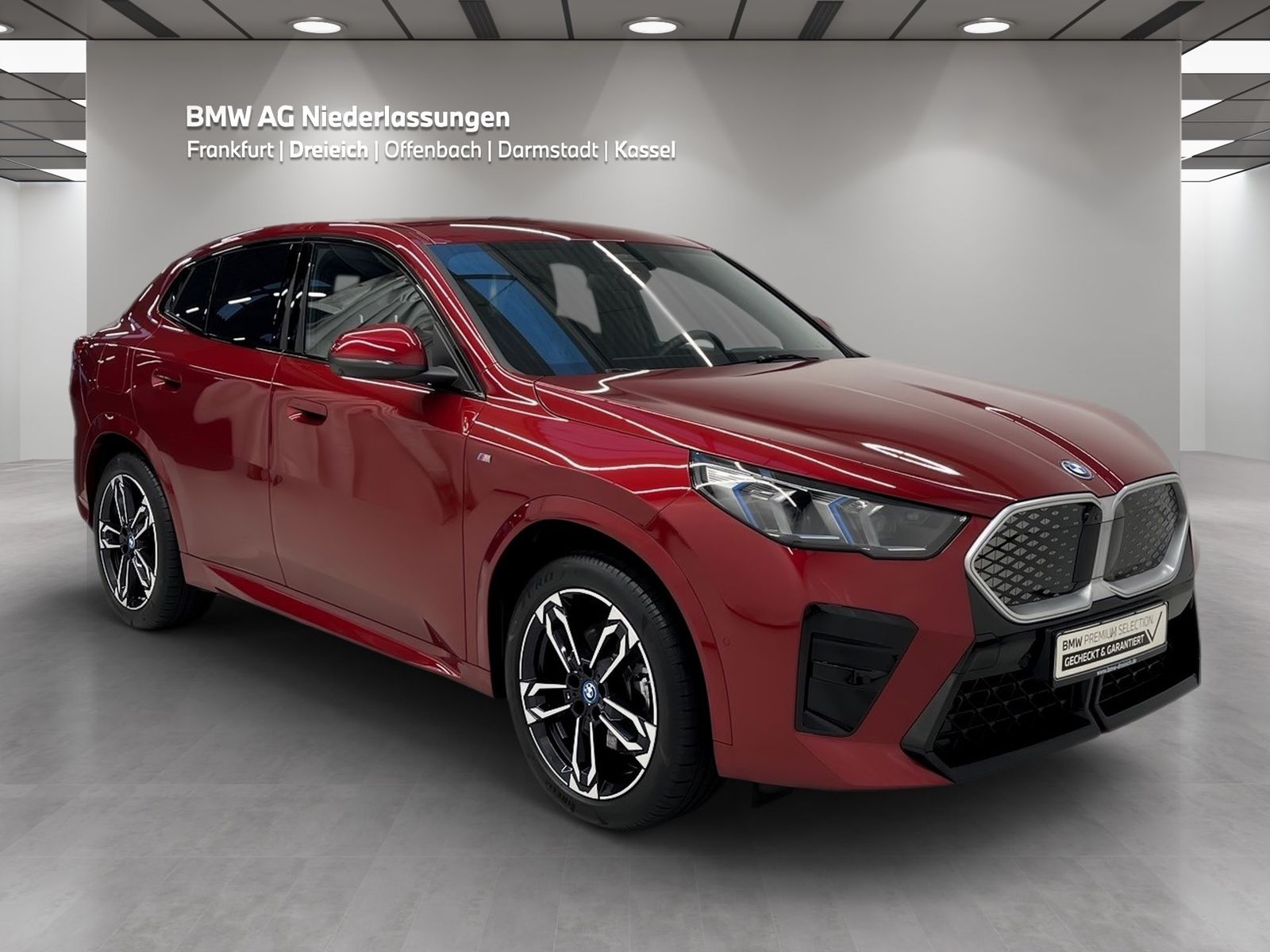 BMW iX2 xDrive30 M Sport AHK Driv.Assist.Prof LED foto 3