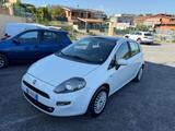 Fiat Punto Evo 1.2 5 porte S&S Dynamic - weiße Fiat Punto Evo