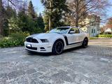 Ford Mustang BOSS 302 - accident free - 25k km - Ford: 302