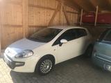 Fiat Punto Evo 1.4 8V Natural Power Dynamic Dynamic - Fiat Punto Evo mit CNG-Antrieb