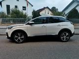Peugeot 3008 Modelljahr 2017 *Panorama Dac... - Peugeot e-3008