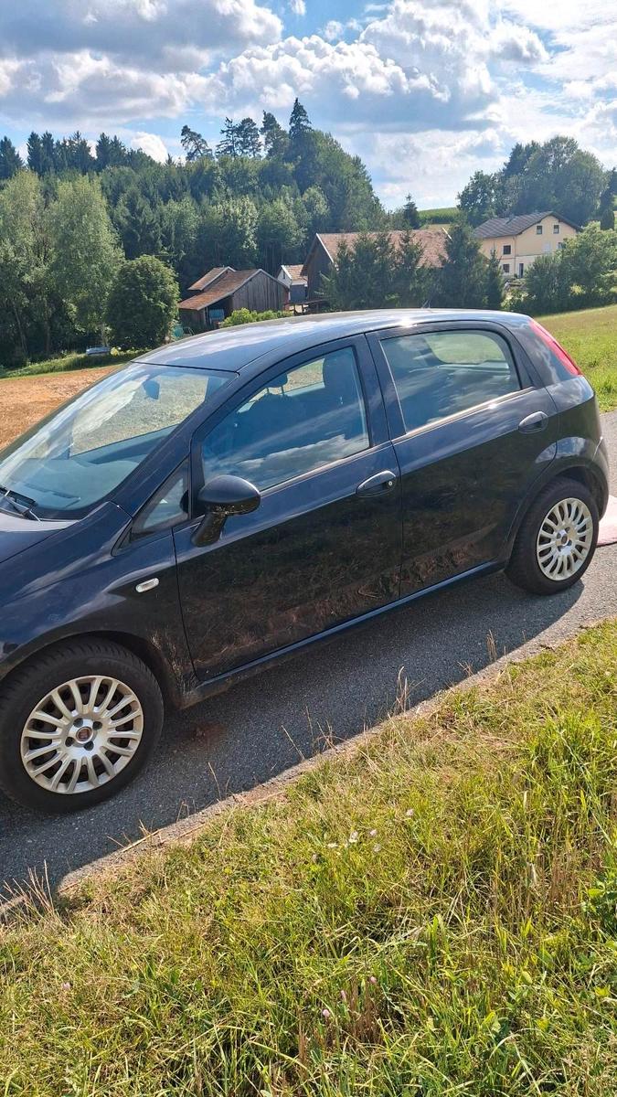 Fiat Punto 2009 — interior
