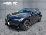Alfa Romeo Stelvio Quadrifoglio 2.9 V6 510PS/PANO/H&K/ACC - Alfa Romeo: 2.5
