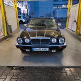Jaguar XJ12 - Jaguar aus 1991