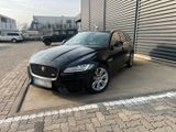 Jaguar XF Sportbrake 3.0D First Edition - Jaguar XF mit Diesel-Antrieb: Kombi, 3.0