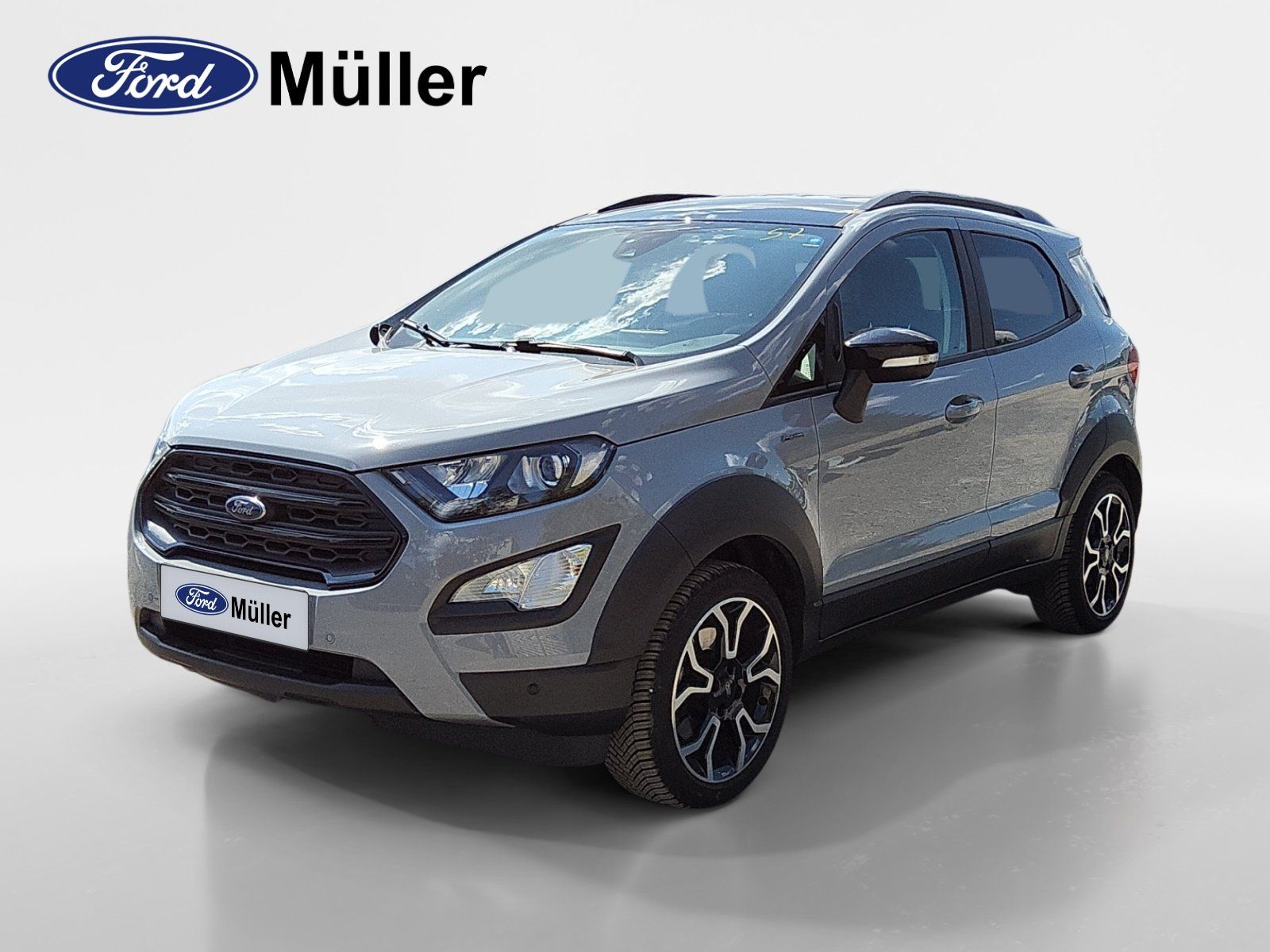 Ford EcoSport 1.0 EcoBoost Active*Navi*AHK*Kamera*Len
